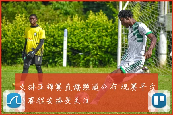 女排亚锦赛直播频道公布 观赛平台与赛程安排受关注